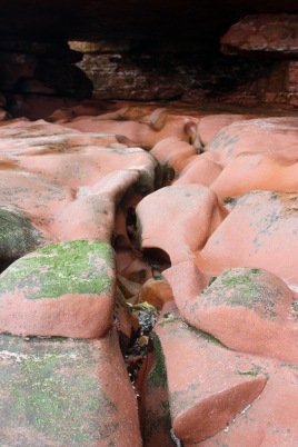 Some Devon Red Sandstone for Meg, at Orcombe Point beach.